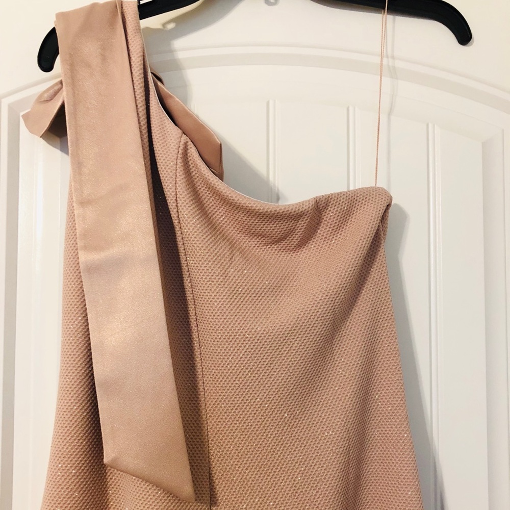 ‼️Last One‼️Ronni Nicole Evenings Blush Dress Sz16 - Picture 5 of 7